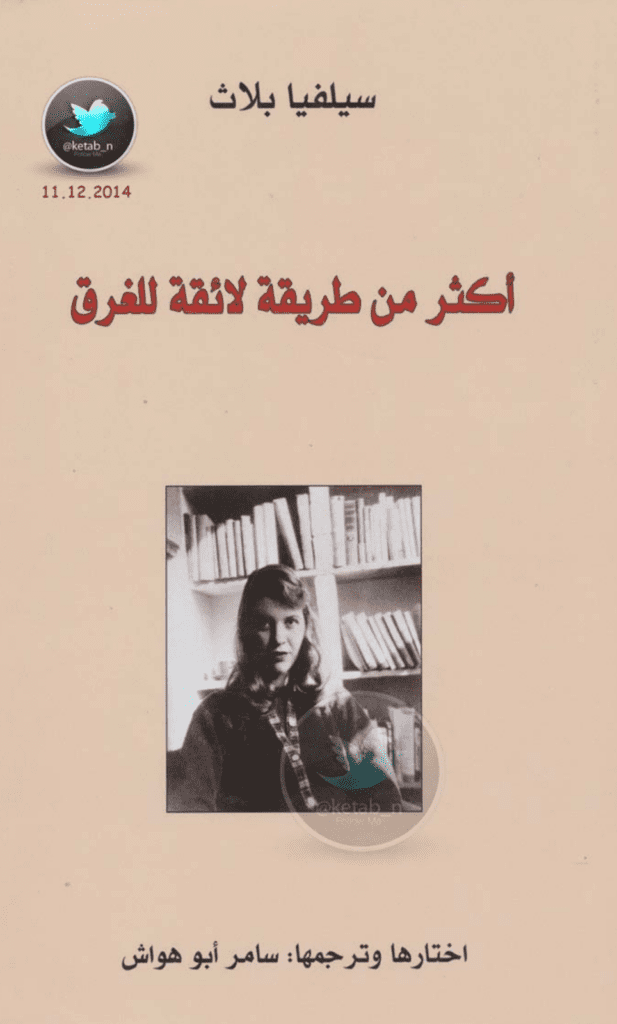تحميل كتاب أكثر من طريقة لائقة للغرق pdf